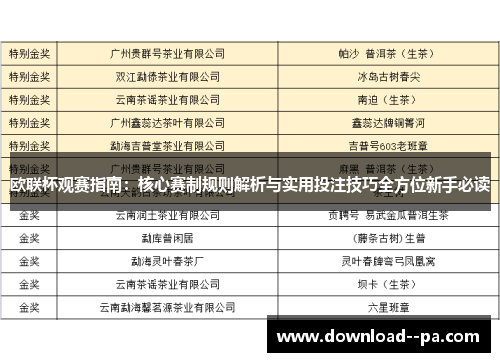 欧联杯观赛指南:核心赛制规则解析与实用投注技巧全方位新手必读 欧联杯观赛指南:核心赛制规则解析与实用投注技巧全方位新手必读